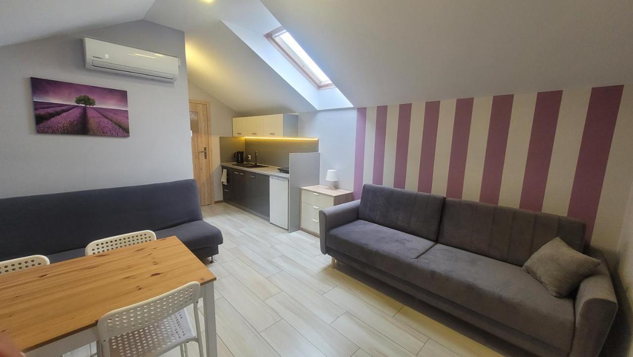 Wrzosowe Wzgorze Apartamenty Chęciny المظهر الخارجي الصورة
